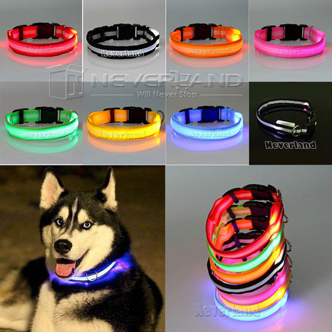 8 Colors/ Severl sizes Glow LED Cat/Dog Flashing Light  Collar