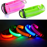 Pet Dog Collar LED,Safety Light-up Flashing Glow in the Dark