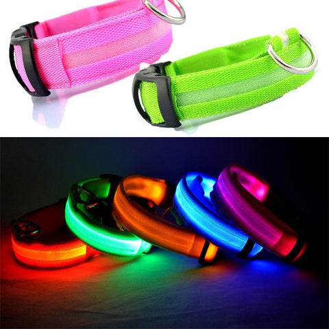 Pet Dog Collar LED,Safety Light-up Flashing Glow in the Dark