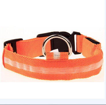 Pet Dog Collar LED,Safety Light-up Flashing Glow in the Dark