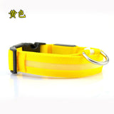 Pet Dog Collar LED,Safety Light-up Flashing Glow in the Dark