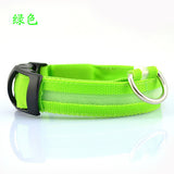 Pet Dog Collar LED,Safety Light-up Flashing Glow in the Dark