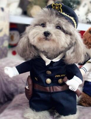 Halloween Pet Costume [Nurse/Policeman/Cowboy/Sailor]