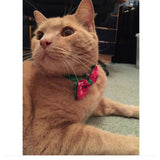 Christmas Bow tie Collar